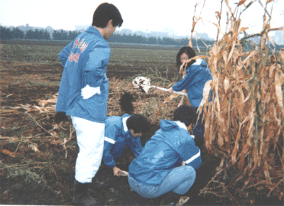 ���K���i