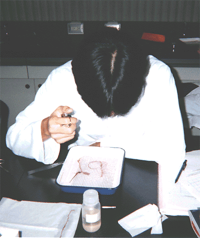 �������i