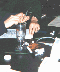 �������i